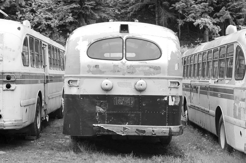 Happy Campers
